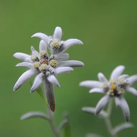 Casa Felices Брото
